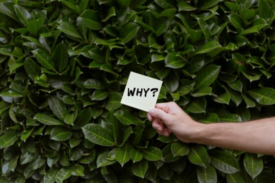Escape Debt Reasons for Debt