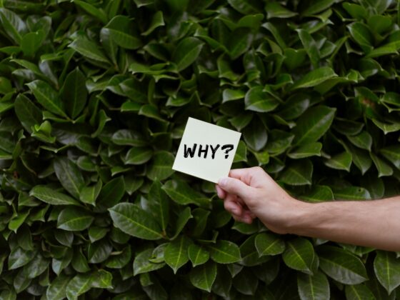 Escape Debt Reasons for Debt