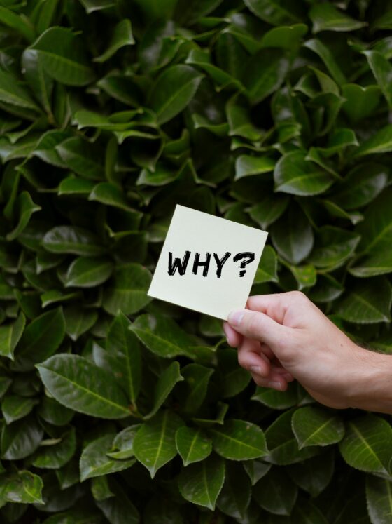 Escape Debt Reasons for Debt