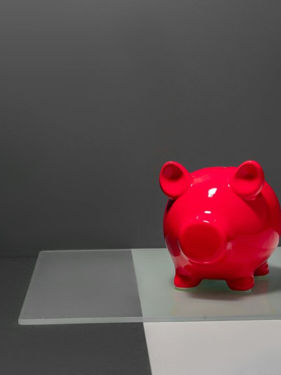 Escape Debt Build an emergency fund