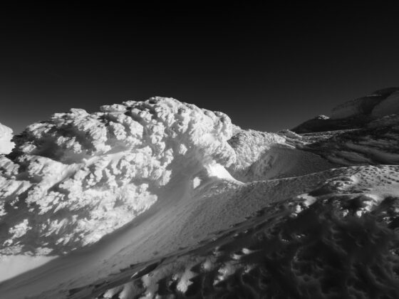 Escape Debt The Debt Avalanche Method